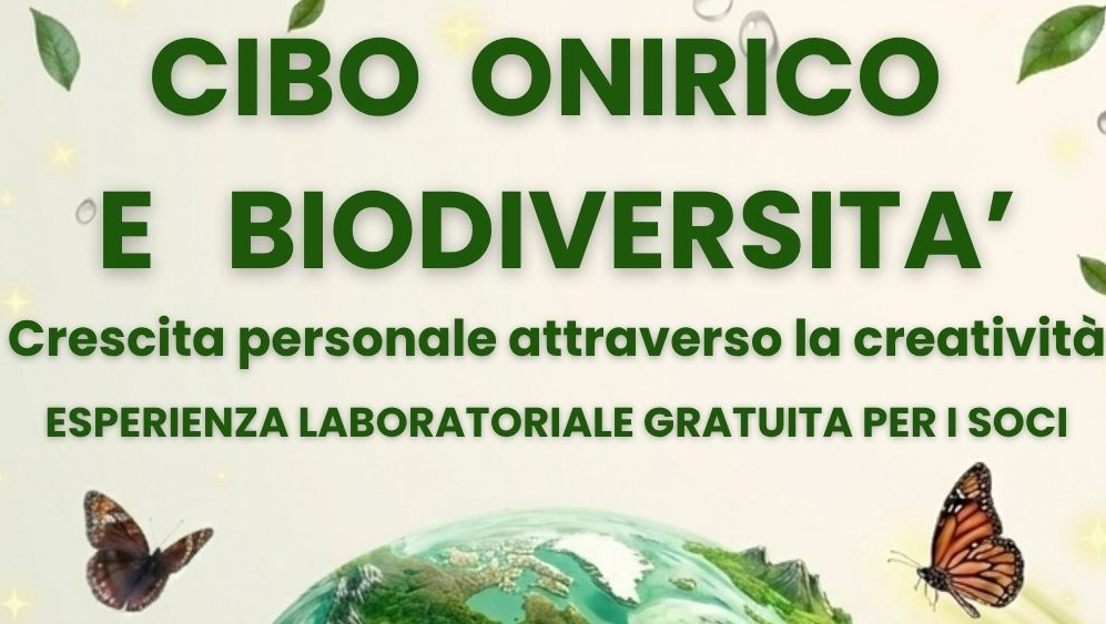 LABORATORIO CREATIVO